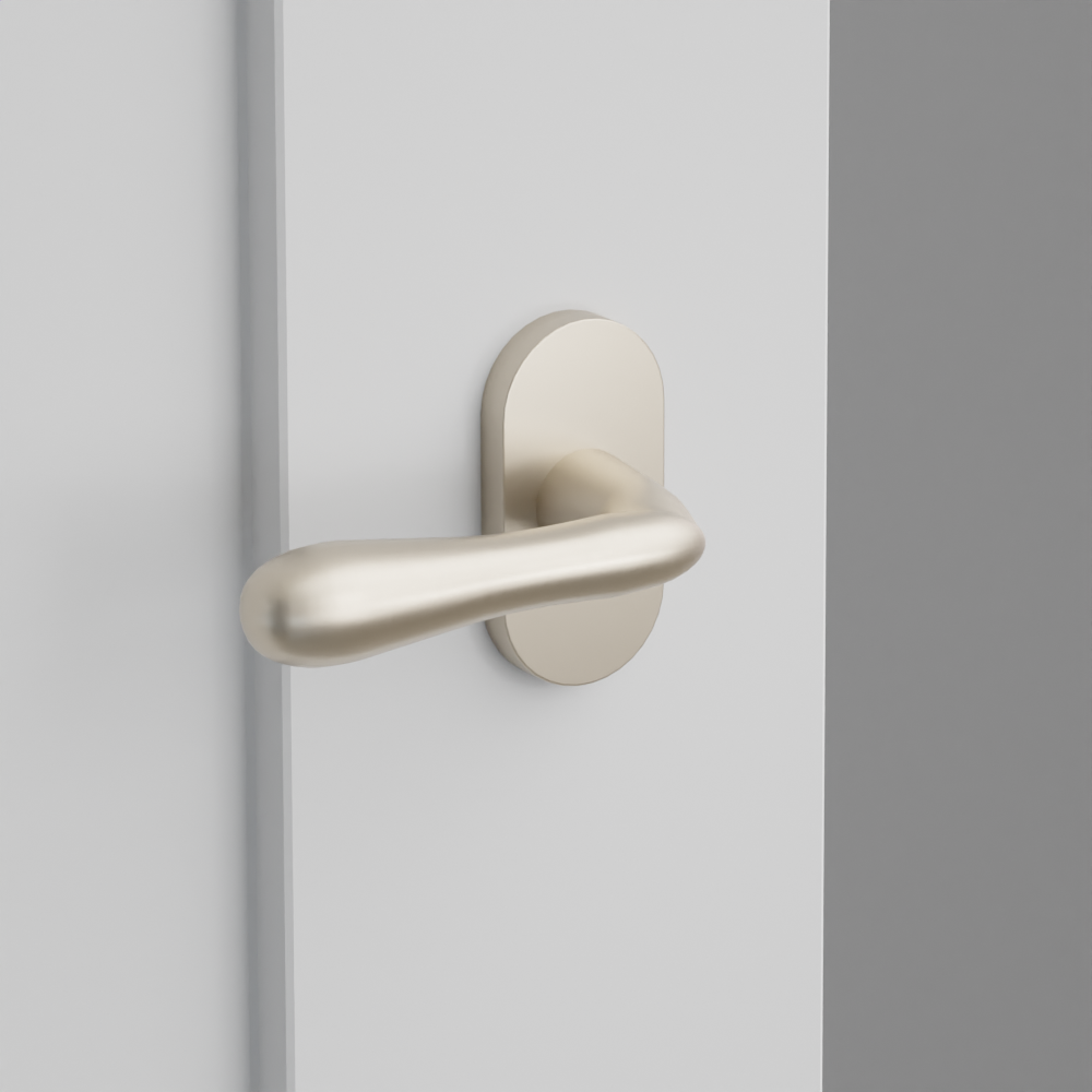 Exterior render - cgrender/InteriorPassagePrivacyDummy/default/h.lever_BA.finish_US15/r.rosette_dummy_5803.finish_US15.png