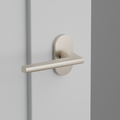 Exterior render - cgrender/InteriorPassagePrivacyDummy/default/h.lever_HLO.finish_US15/r.rosette_dummy_5803.finish_US15.png