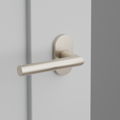 Exterior render - cgrender/InteriorPassagePrivacyDummy/default/h.lever_STU.finish_US15/r.rosette_dummy_5803.finish_US15.png
